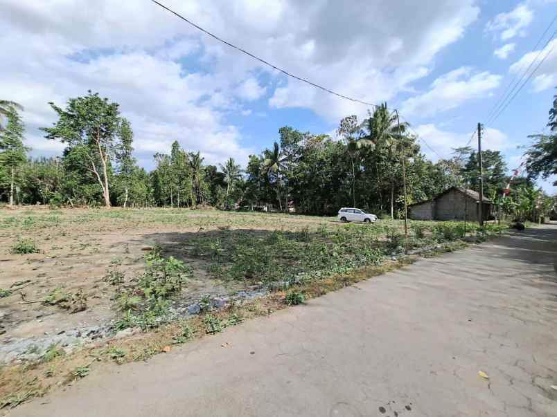 tanah pekarangan murah di margorejo tempel