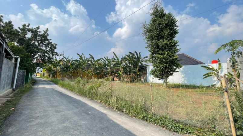 tanah rajabasa bandar lampung