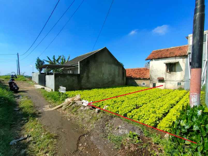 tanah shm invest cihideung setiabudi bandung utara