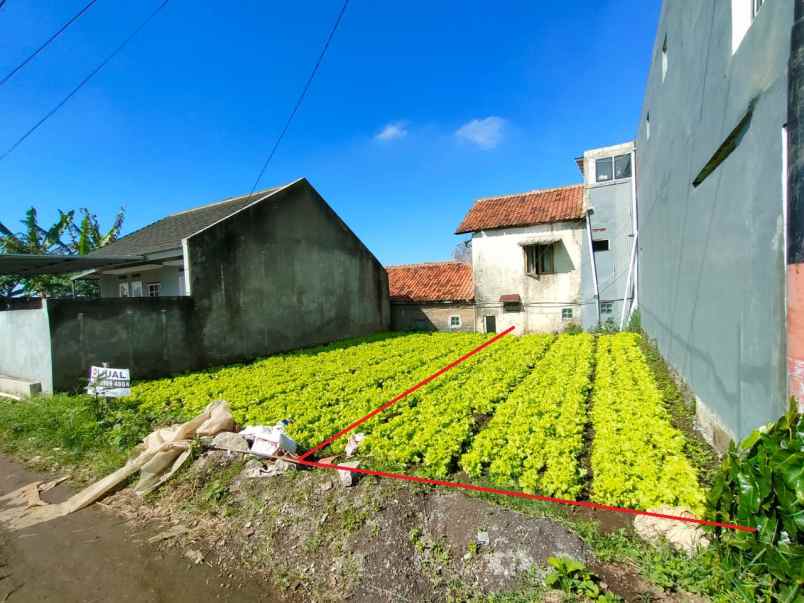 tanah shm invest cihideung setiabudi bandung utara