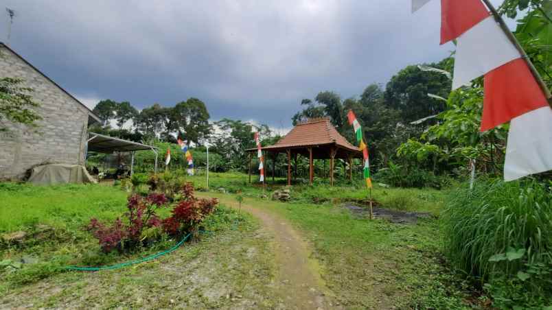 tanah siap dibangun setro kaligading boja shm