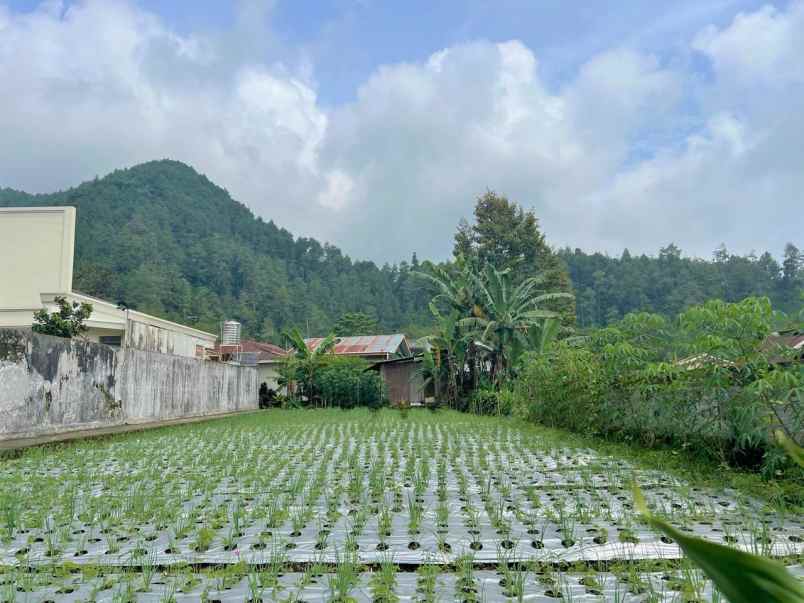 tanah strategis udara dingin tawangmangu karanganyar