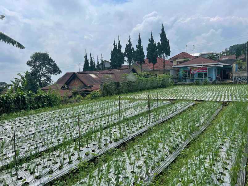 tanah strategis udara dingin tawangmangu karanganyar