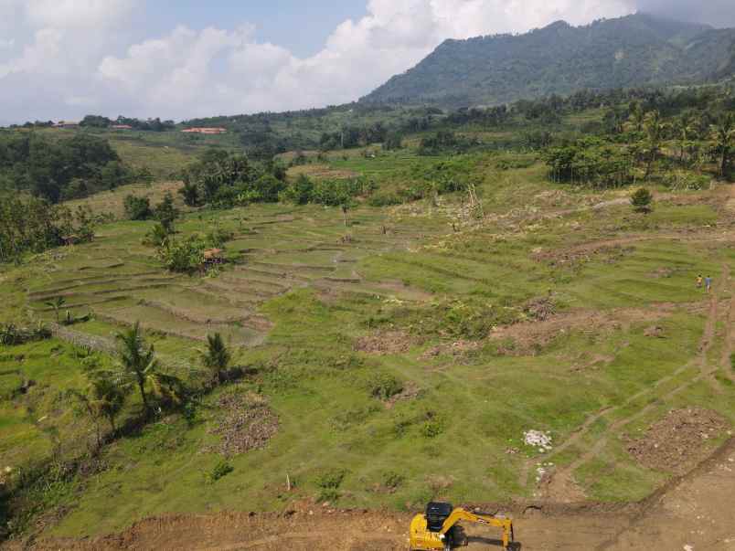 tanah sukamulya sukamakmur kab