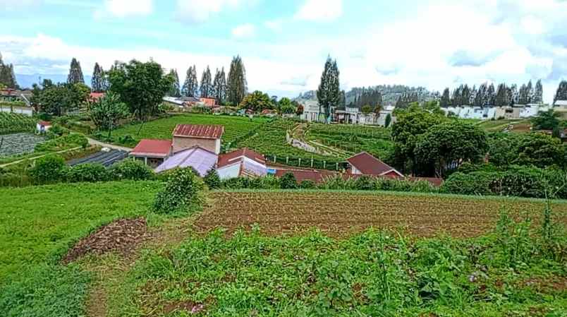 tanah terbaik di berastagi peceren