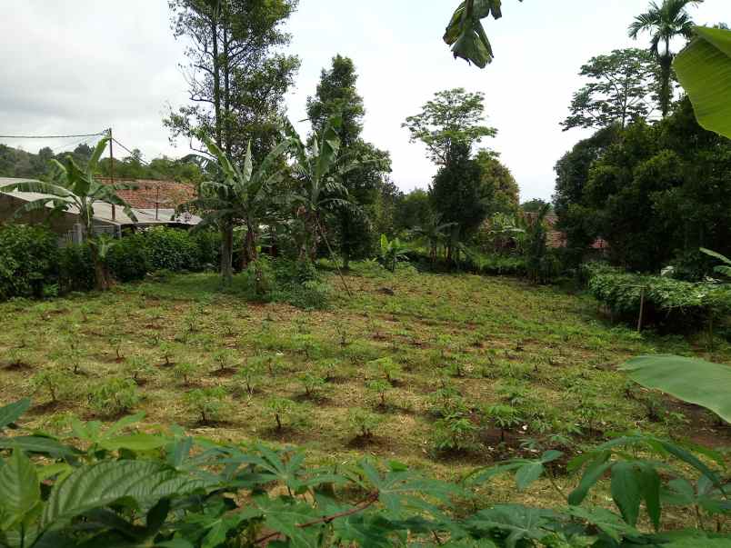 tanah tugujaya