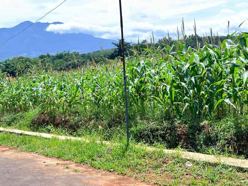 tanah view gunung lawu 8000m kerjo karanganyar utara