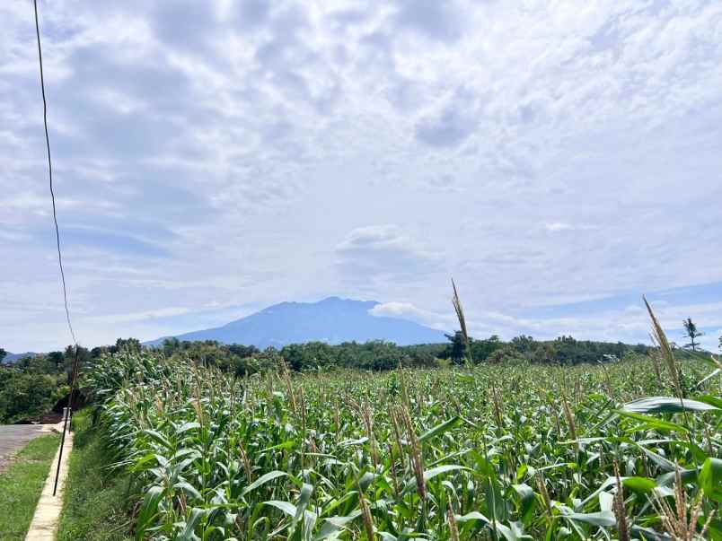tanah view gunung lawu 8000m kerjo karanganyar utara