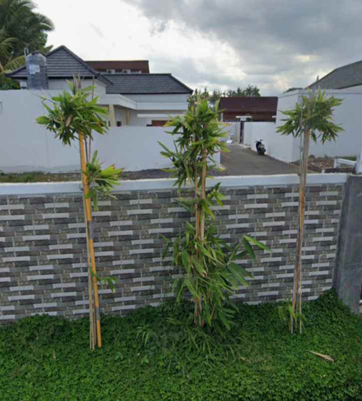 tanah view sawah dan sungai dekat pantai kelecung bali
