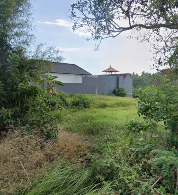 tanah view sawah dan sungai dekat pantai kelecung bali