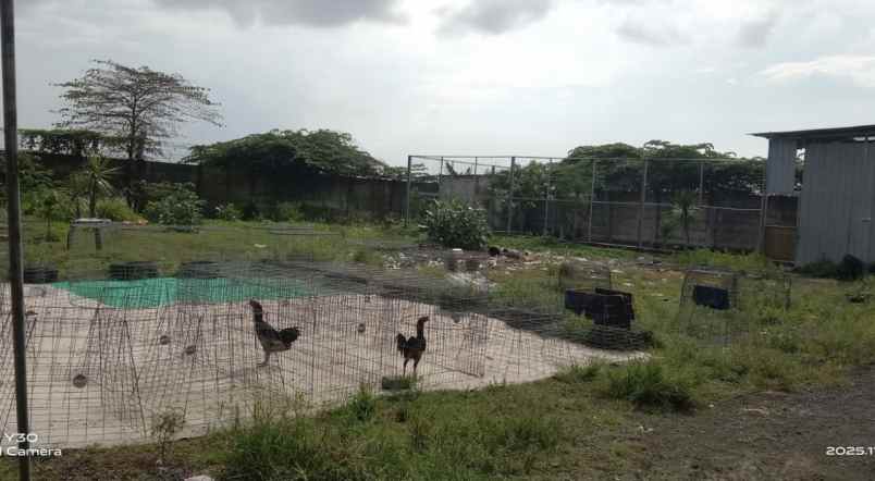 dijual ruko gudang kantor jl raya kandangan cerme