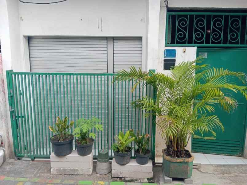 dijual rumah jalan terong