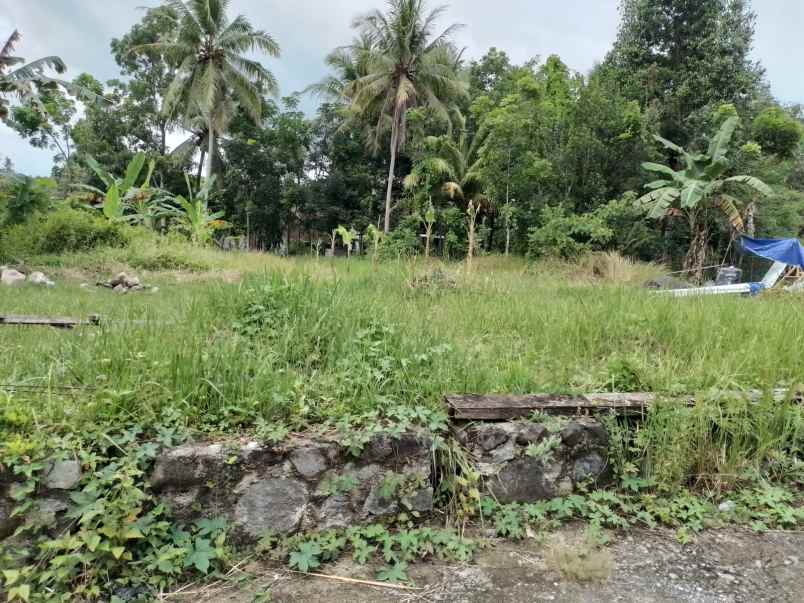 dijual rumah lemahdadi bangunjiwo