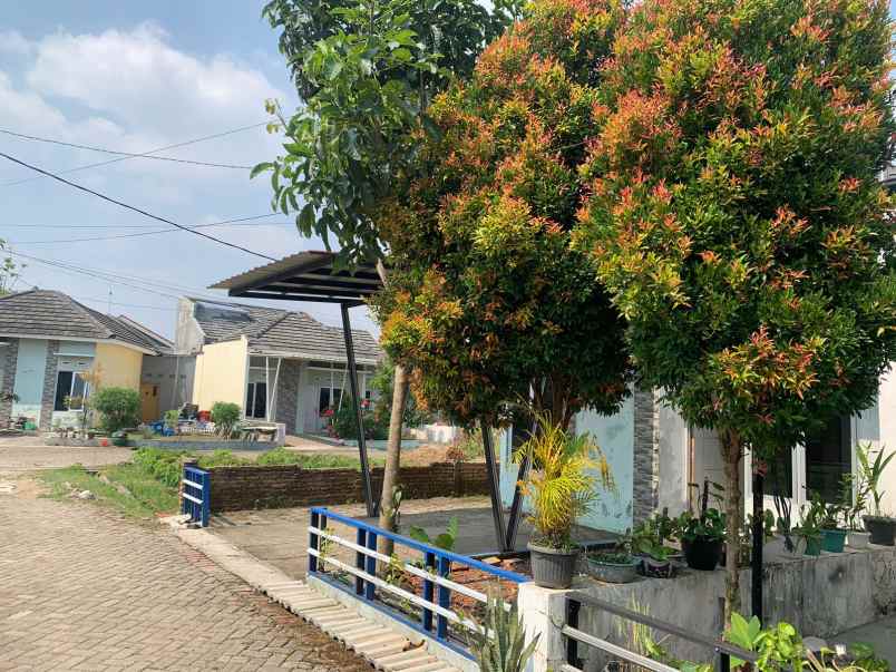 dijual rumah ngalian sembar semarang