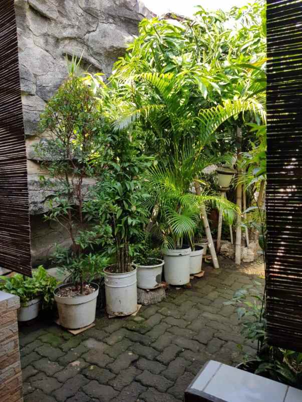 dijual rumah pamulang barat