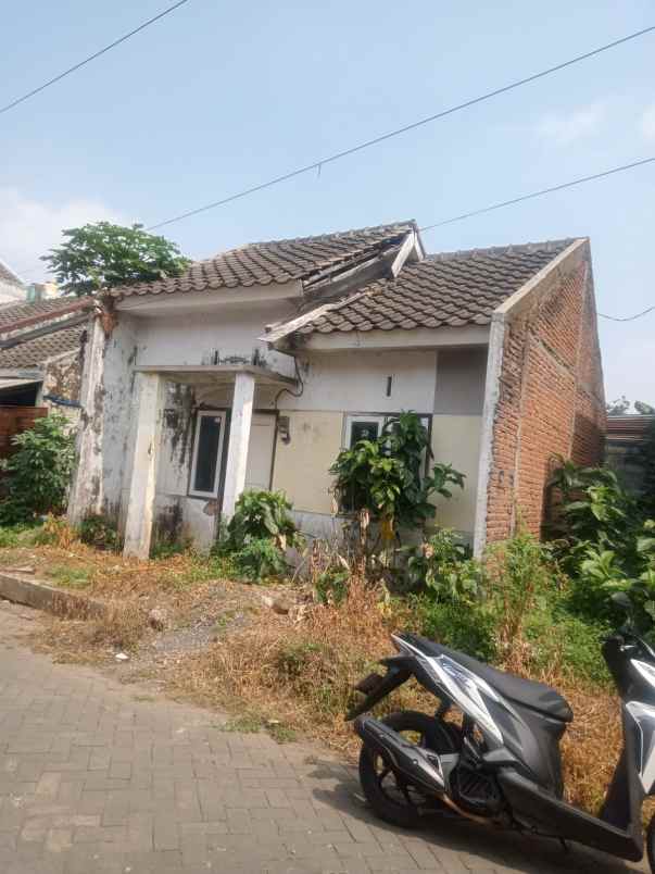 dijual rumah standart lokasi di buring malang