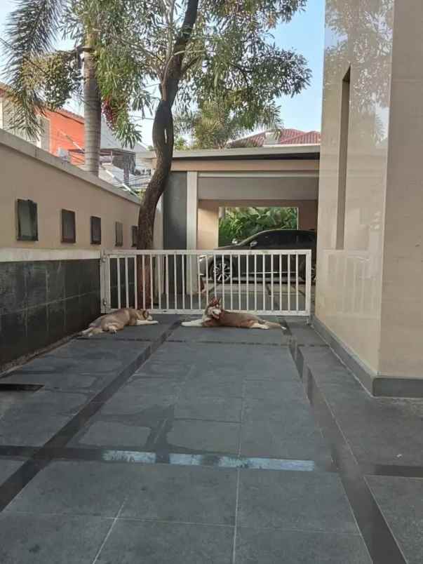 dijual rumah taman cilandak jakarta selatan