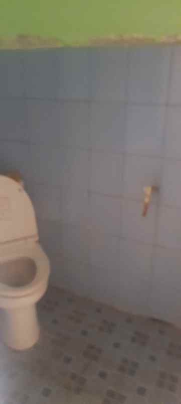 dijual rumah taman cimanggu