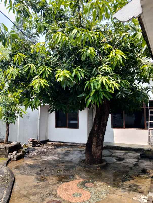 dijual rumah wisma permai mulyorejo
