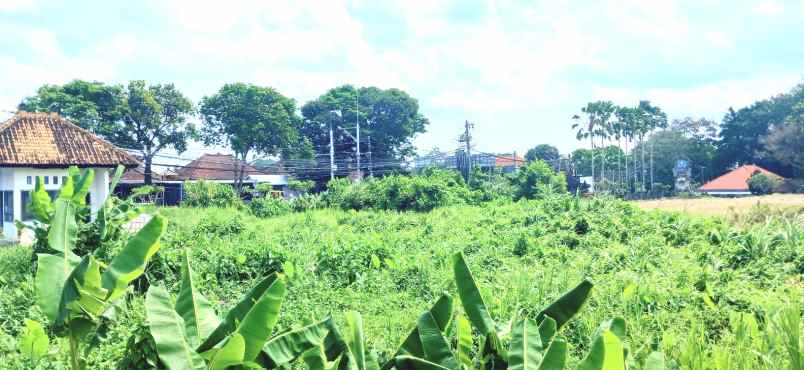 dijual tanah 1500 m2 di mengwi badung bali