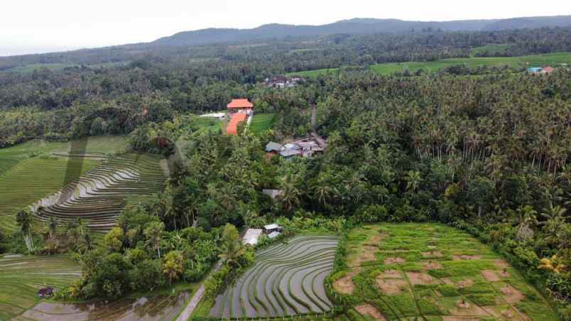 dijual tanah antosari