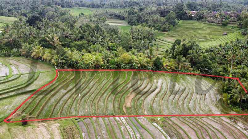 dijual tanah antosari