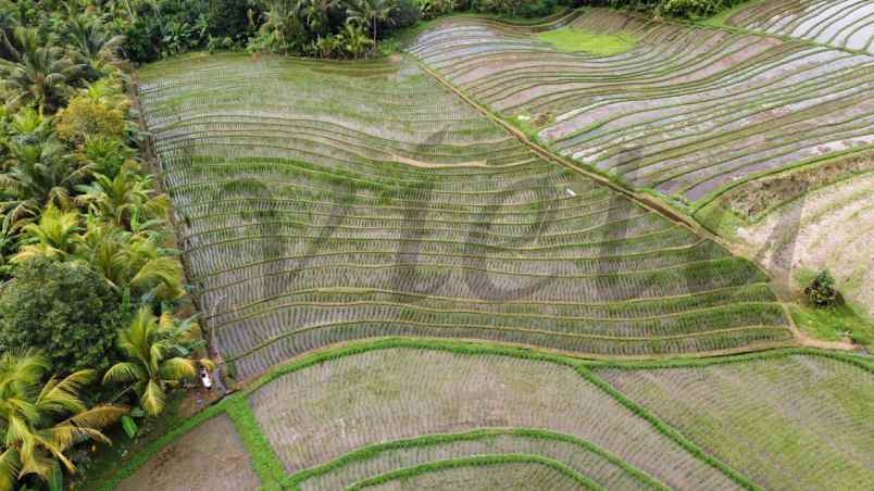 dijual tanah antosari