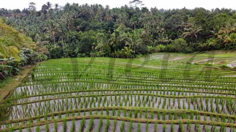 dijual tanah antosari