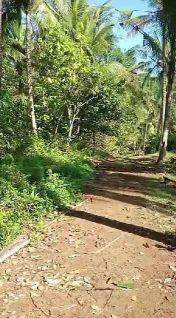 dijual tanah banjar dinas munduk desa