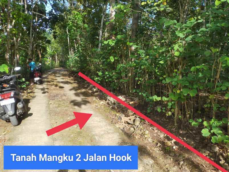 dijual tanah bejiharjo karangmojo