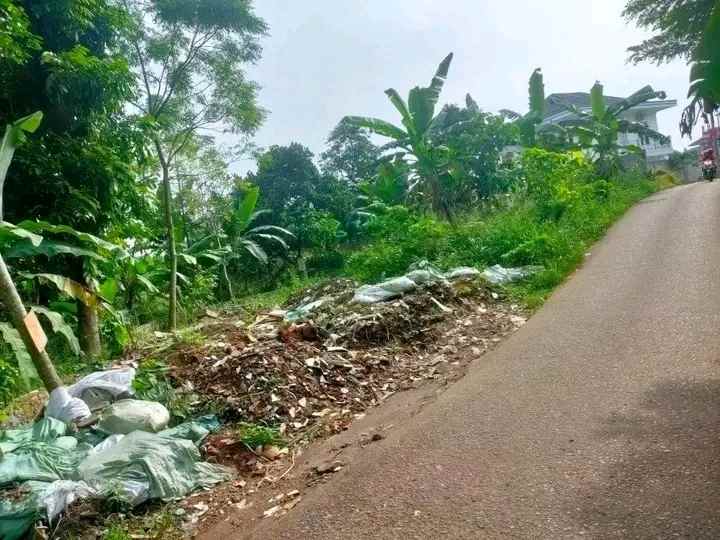 dijual tanah belakang bogor raya