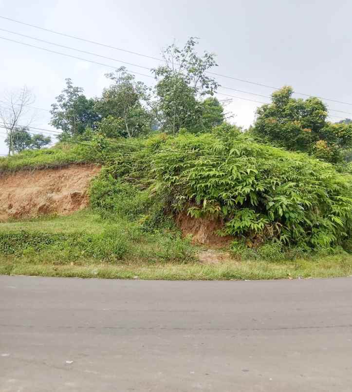 dijual tanah blok wangun desa sukamulih