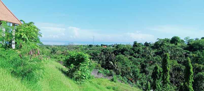 dijual tanah daerah lovina sentral