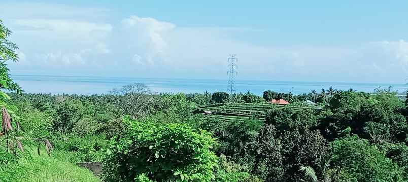 dijual tanah daerah lovina sentral