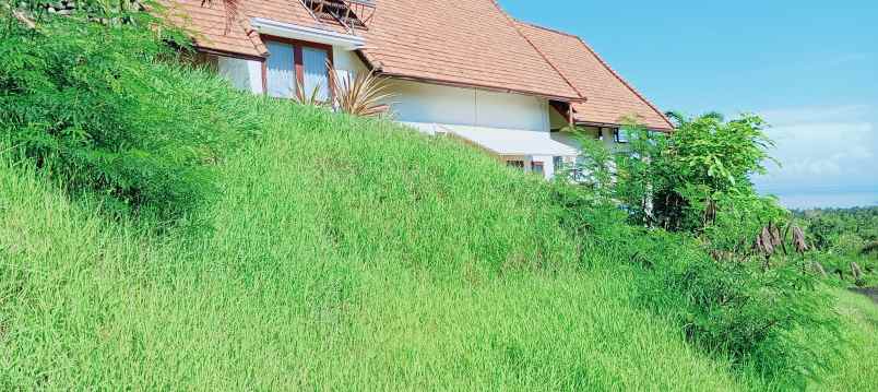 dijual tanah daerah lovina sentral