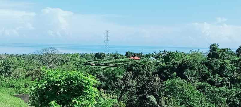 dijual tanah daerah lovina sentral