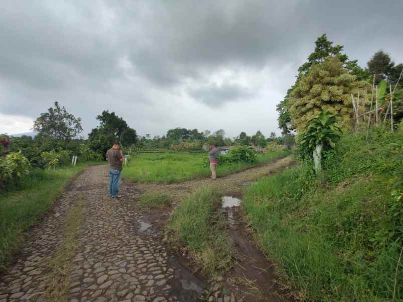 dijual tanah desa bulukerto