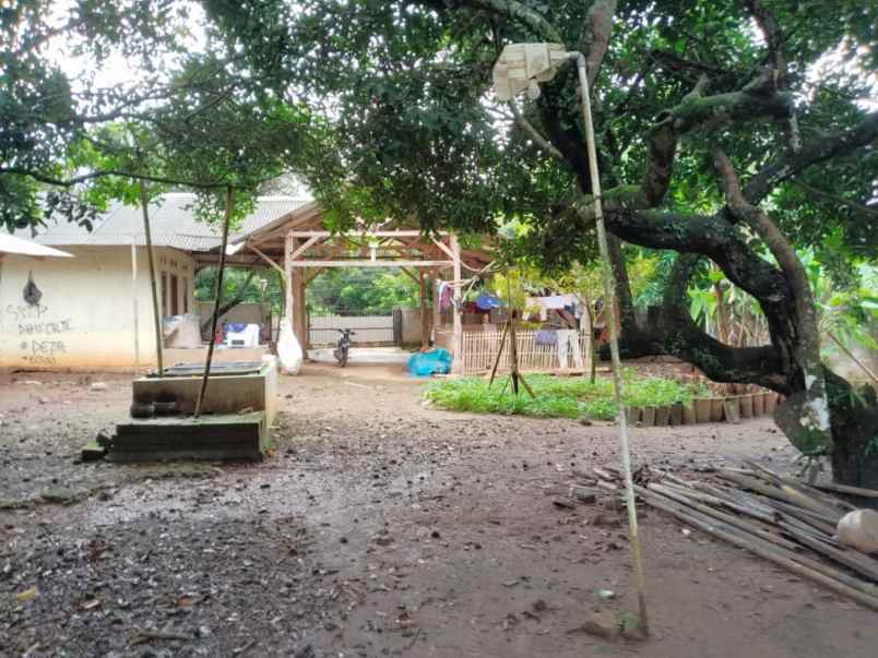 dijual tanah desa cijunti campaka