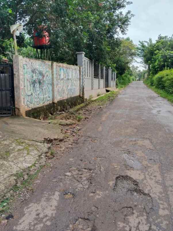 dijual tanah desa cijunti campaka
