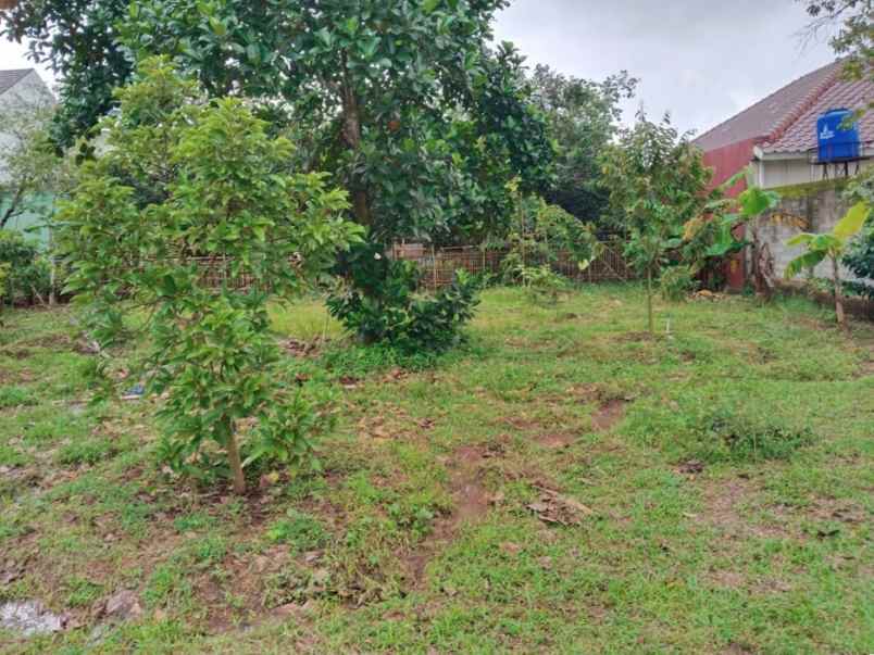 dijual tanah desa cijunti campaka