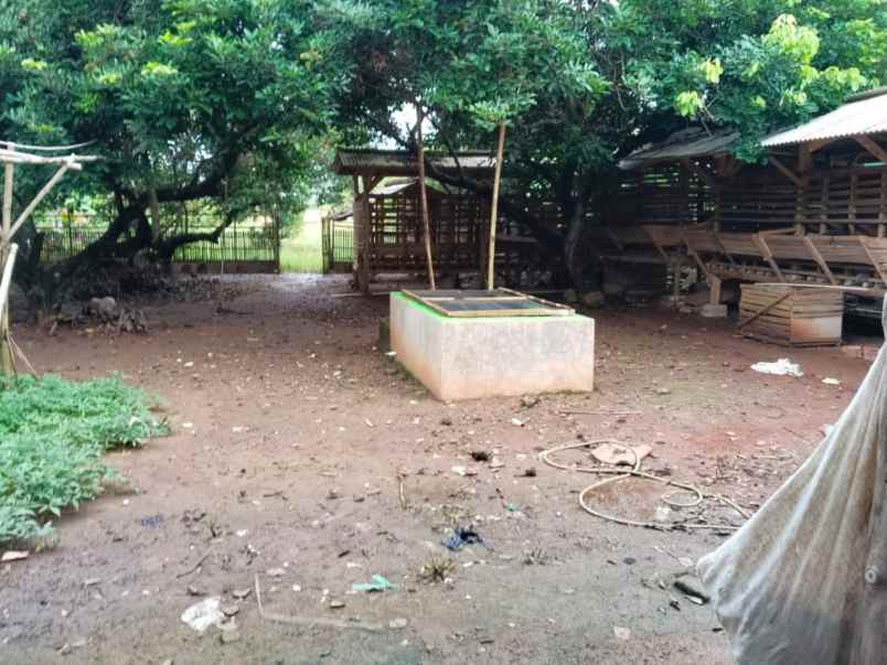 dijual tanah desa cijunti campaka