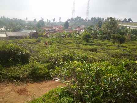 dijual tanah desa cipada 1 kecamatan