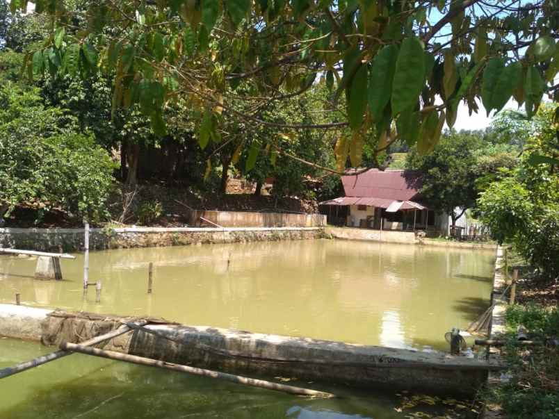 dijual tanah desa galudra kecamatan