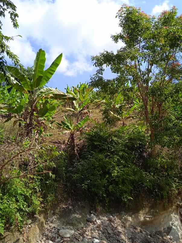 dijual tanah desa hatta