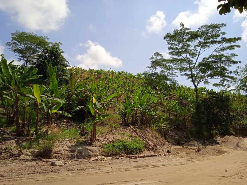 dijual tanah desa hatta