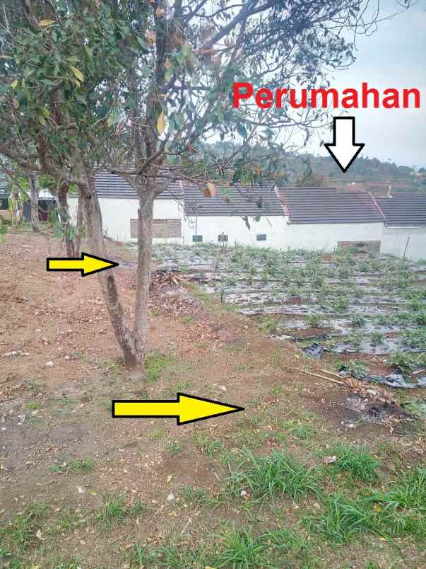 dijual tanah desa pakuhaji kecamatan