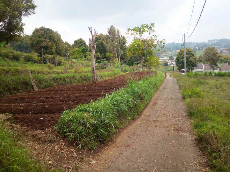 dijual tanah desa pakuhaji kecamatan