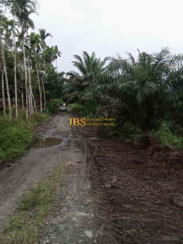 dijual tanah di desa ujung deleng kec sibolangit