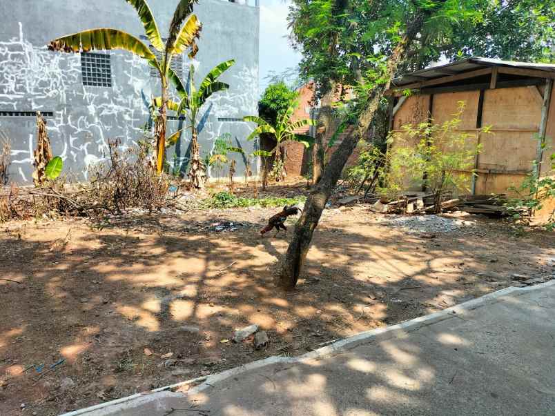 dijual tanah di timoho bulusan tembalang semarang