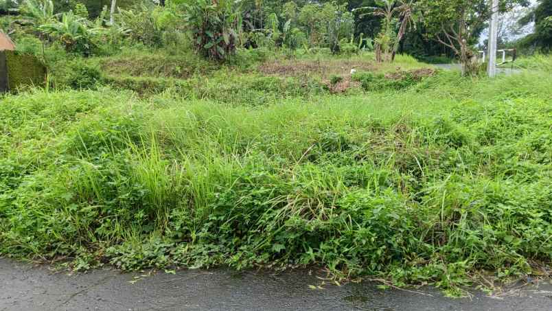 dijual tanah gunung pati